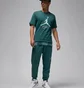 Футболка мужская Air Jordan Flight Hbr Tee Green AO0664-366