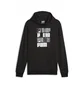 Худи мужское Puma Ess+ Logo Lab Hoodie Tr Black 678978-01