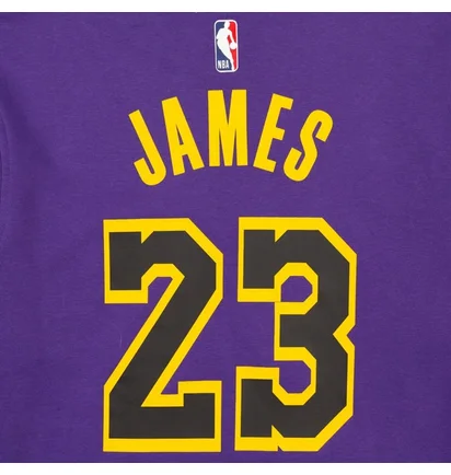 Свитшот мужской Air Jordan Nba Los Angeles Lakers Courtside Statement Edition Violet DN4718-508