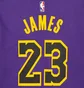 Свитшот мужской Air Jordan Nba Los Angeles Lakers Courtside Statement Edition Violet DN4718-508