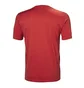 Футболка мужская Helly Hansen Logo T-Shirt Red 33979-163