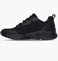 Кросівки жіночі Skechers Bobs B Flex Lo-Graceful Stride Black 117561-BBK