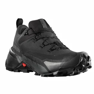 Кросівки чоловічі Salomon Cross Hike Gtx 2 Black 417301