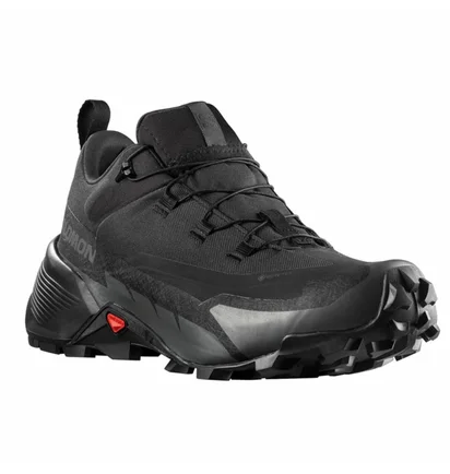 Кроссовки мужские Salomon Cross Hike Gtx 2 Black 417301