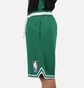 Шорты мужские Nike Boston Celtics Green DB1793-312