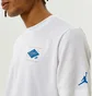 Футболка мужская Air Jordan T-Shirt M J Flt Ess Jdn Air Gfx Crew White DH8968-100
