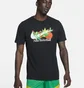Футболка мужская Nike T-Shirt Dri-Fit Black FD0069-010
