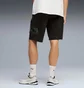 Шорти чоловічі Puma Essentials Logo Lab Black 692030-01