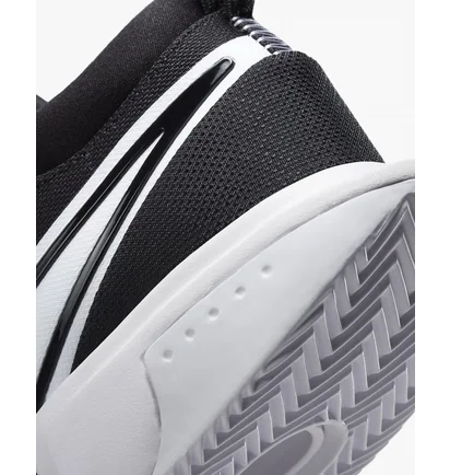 Кросівки чоловічі Nike Court Air Zoom Pro Black Dv3277-001