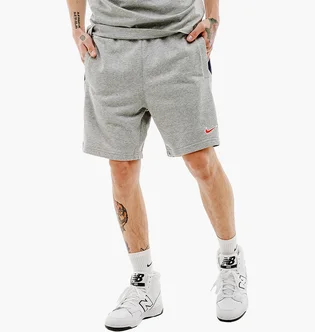 Шорты мужские Nike M Sp Short Ft Grey FZ4708-063