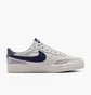 Кросівки жіночі Nike Sb Zoom Pogo Plus White FQ2935-001