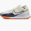 Кроссовки мужские Nike Pegasus Trail 4 Gore-Tex Beige DJ7926-004
