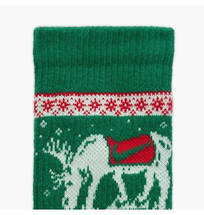 Носки Nike Everyday Plush Cushioned Winter Wonderland (2 пары) Green/White HV6939-901