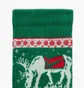 Носки Nike Everyday Plush Cushioned Winter Wonderland (2 пары) Green/White HV6939-901