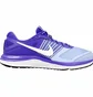 Кроссовки женские Nike Wmns Dual Fusion X Violet 709501-401