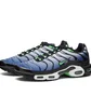 Кроссовки мужские Nike Air Max Plus Blue/Black DX4326-001