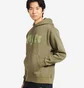 Худи мужское Nike Nsw Club Fleece Graphic Pullover Hoodie Olive DQ4653-222