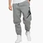 Штаны мужские Air Jordan Jumpman Logo Flc Pant Grey Bq8646-091