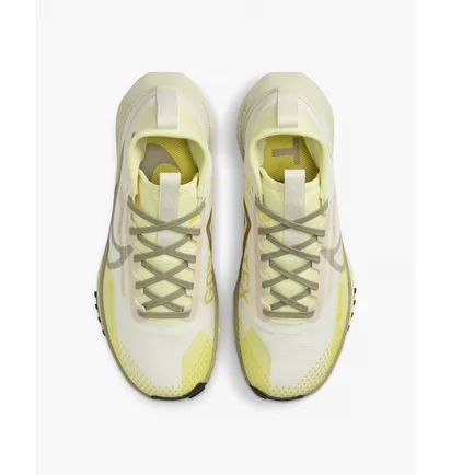 Кроссовки женские Nike Pegasus Trail 4 Gore-Tex Waterproof Trail Running Shoes Beige DJ7929-101