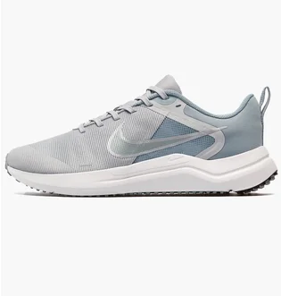 Кроссовки мужские Nike Downshifter 12 Grey Dd9293-004