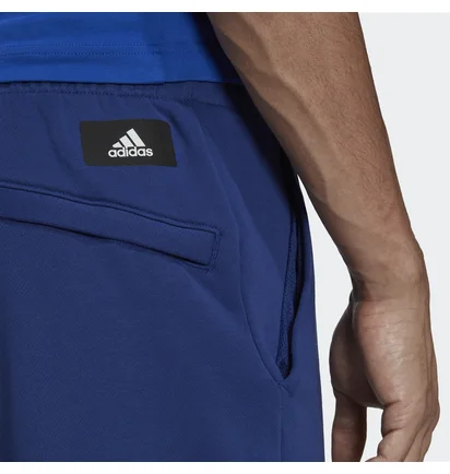 Штаны мужские Adidas Sportswear Future Icons Logo Graphic Pants Blue H39799
