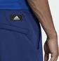 Штаны мужские Adidas Sportswear Future Icons Logo Graphic Pants Blue H39799