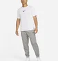 Штаны мужские Nike Therma Grey CV7739-063