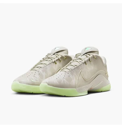 Кроссовки мужские Nike Lebron Xxii Beige FZ1094-002