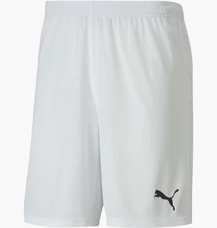 Шорти чоловічі Puma Teamgoal 23 Knit Shorts White 704262-04