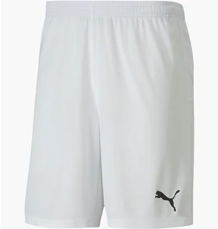 Шорты мужские Puma Teamgoal 23 Knit Shorts White 704262-04