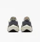 Кросівки чоловічі Nike Air Winflo 10 Brown FN7499-029