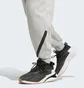 Штаны мужские Adidas Z.N.E. Pants Grey JF2446