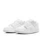 Кросівки чоловічі Nike Sb Dunk Low Pro White FJ1674-100