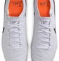 Бутси унісекс Nike Legend 10 Elite Fg Oly White FQ3249-900