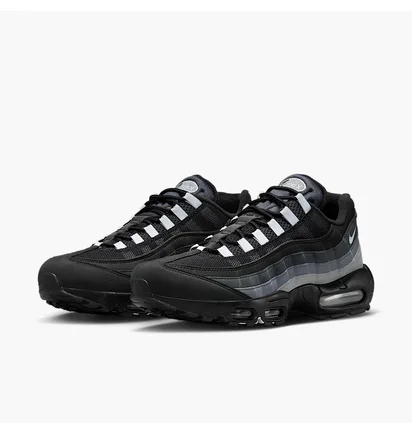 Кроссовки мужские Nike Air Max 95 Black FV4710-003