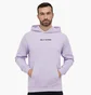 Худи мужское Helly Hansen Core Graphic Sweat Hoodie Violet 53924-699