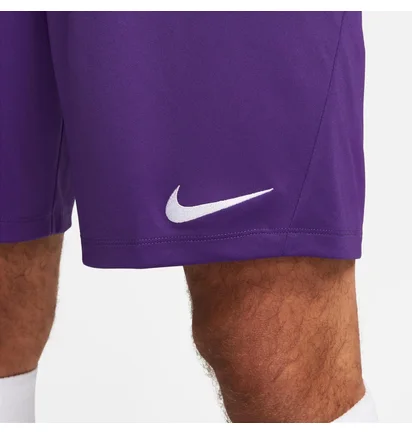Шорти чоловічі Nike Shorts Dri-Fit Park 3 Violet BV6855-547