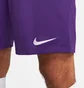 Шорти чоловічі Nike Shorts Dri-Fit Park 3 Violet BV6855-547