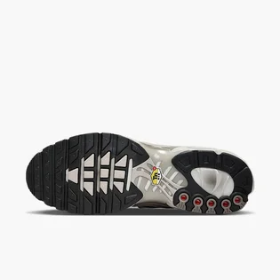 Кросівки чоловічі Nike Air Max Plus Grey IB7679-200