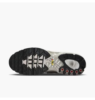 Кроссовки мужские Nike Air Max Plus Grey IB7679-200