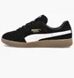 Кроссовки мужские Puma Handball Black 106695-02