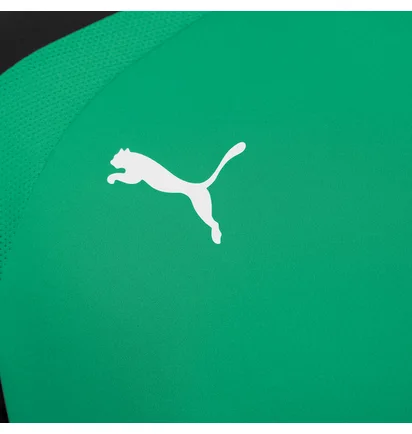 Футболка мужская Puma Teampacer Jersey Green 704919-05