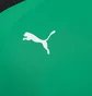 Футболка мужская Puma Teampacer Jersey Green 704919-05
