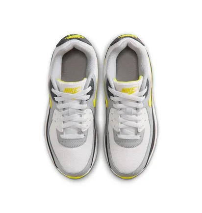 Кроссовки детские Nike Air Max 90 White IQ0098-100