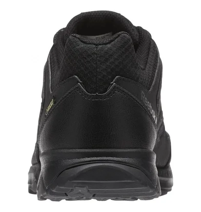 Кросівки чоловічі Reebok Skye Peak Gore-Tex Black BS7669