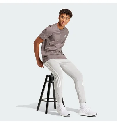 Футболка чоловіча Adidas Seasonal Essentials Monogram Graphic Grey IU0283