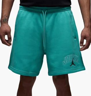Шорти чоловічі Air Jordan Brk Lbr Gfx Turquoise IB7910-392