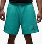 Шорти чоловічі Air Jordan Brk Lbr Gfx Turquoise IB7910-392