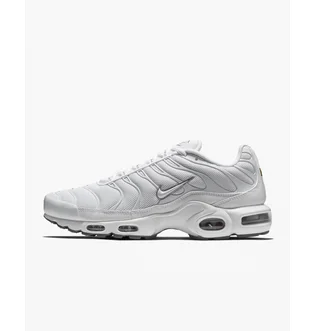 Кроссовки мужские Nike Air Max Plus White 604133-139