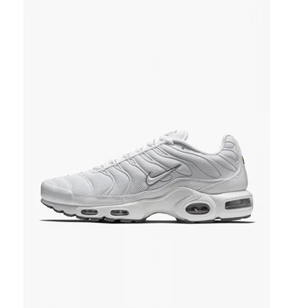 Кроссовки мужские Nike Air Max Plus White 604133-139